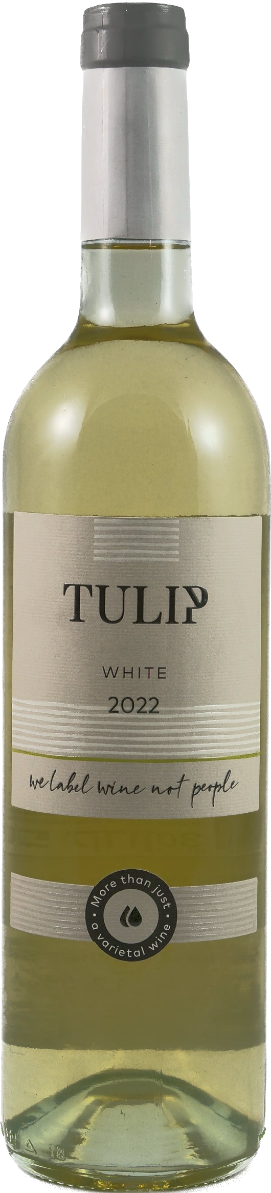Tulip White 2021